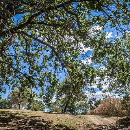 Farm stay Poggio Cava Sovana